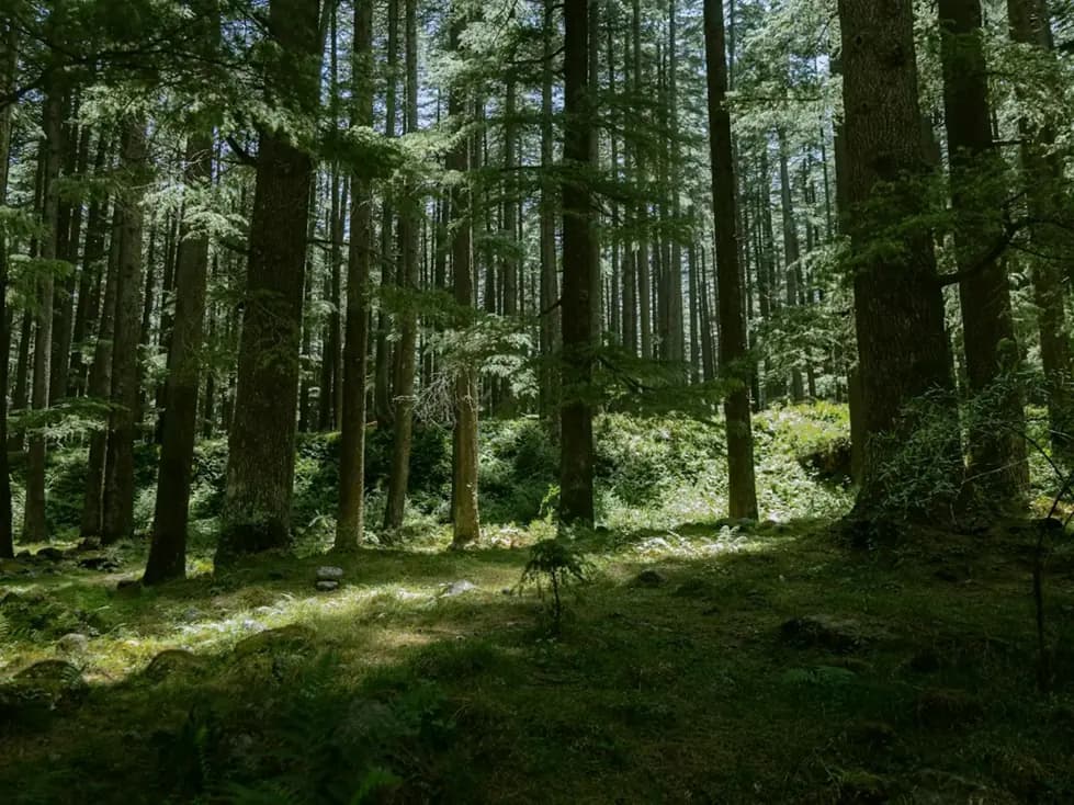 Shimla & Manali Couple Journey — illustrative mountain landscape