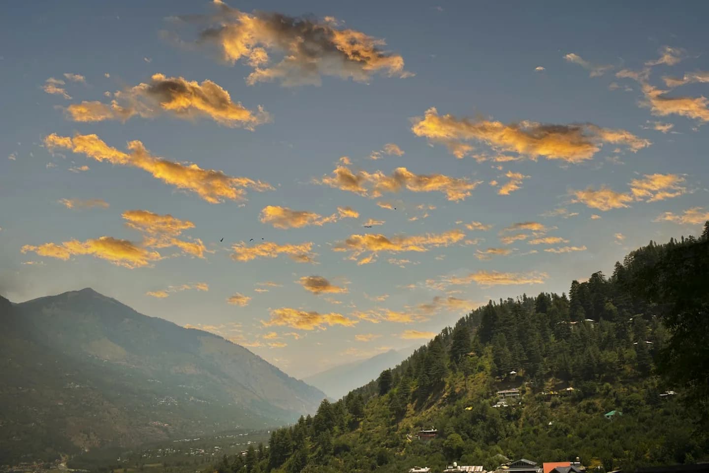 Manali Couple Escape